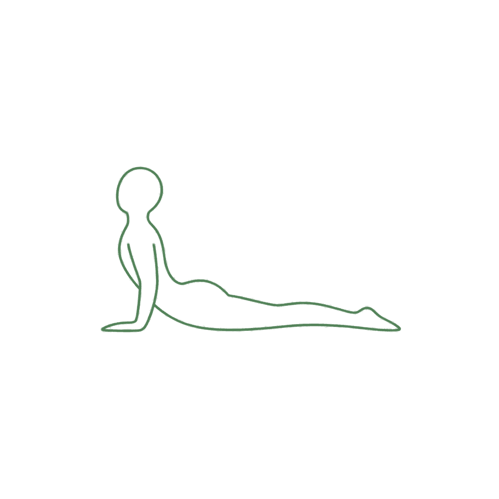 Cobra pose with hips grounded and chest lifted on the hands