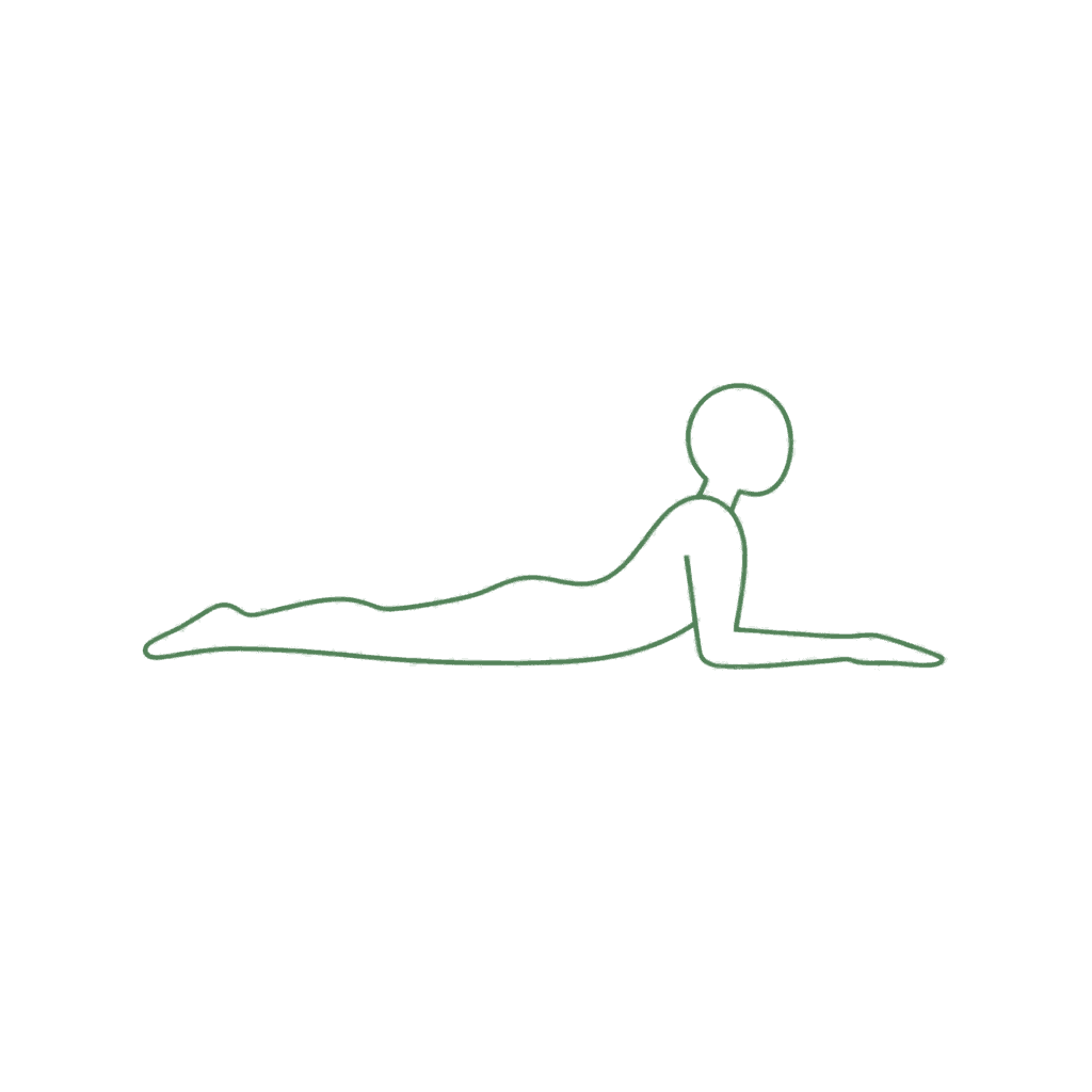 Sphinx pose with hips grounded and chest supported on the forearms